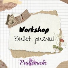 11-13 Workshop Bullet Journal  13 november 2025