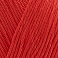 229.O23.82202 Koraalrood