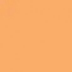 2927-008 Grapefruit A4 (10 vellen)