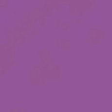 2927-038 Plum A4 (10vellen)