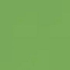 2927-074 Frog A4 (10vellen)