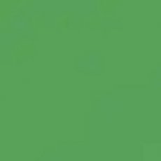 2927-076 Holly A4 (10vellen)