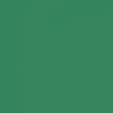 2927-077 Broccoli A4 (10vellen)