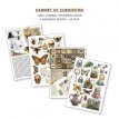 CBB002 Cabinet of Curiosities A4 Junk Journal Ephemera Book (32pcs)
