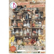 Cabinet of Curiosities A4 Junk Journal Ephemera Book (32pcs)