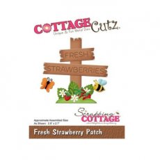 Fresh strawberry patch