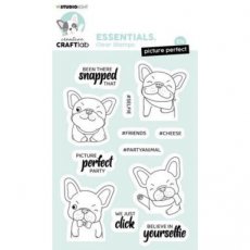 Clear Stamp Essentials nr.221
