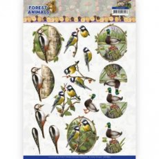 Forest Animals - Woodpacker