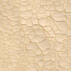 CSCRIVORY Cosmic Shimmer Crackle Paste Ivory