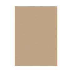 GLP-320 Essential Glimmer Solid Rectangle Glimmer Hot Foil Plate