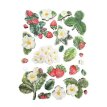 KACMA575 Hidden Grove A5 Silicon Mold Strawberries