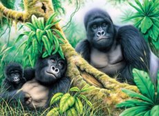 PJL46 Painting by numbers MOUNTAIN GORILLAS