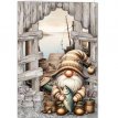 RE2530-0184 Gnome Adventures 01 Card Kit