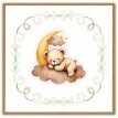 STDO241 Stitch and Do 241 - Berries Beauties - Teddy